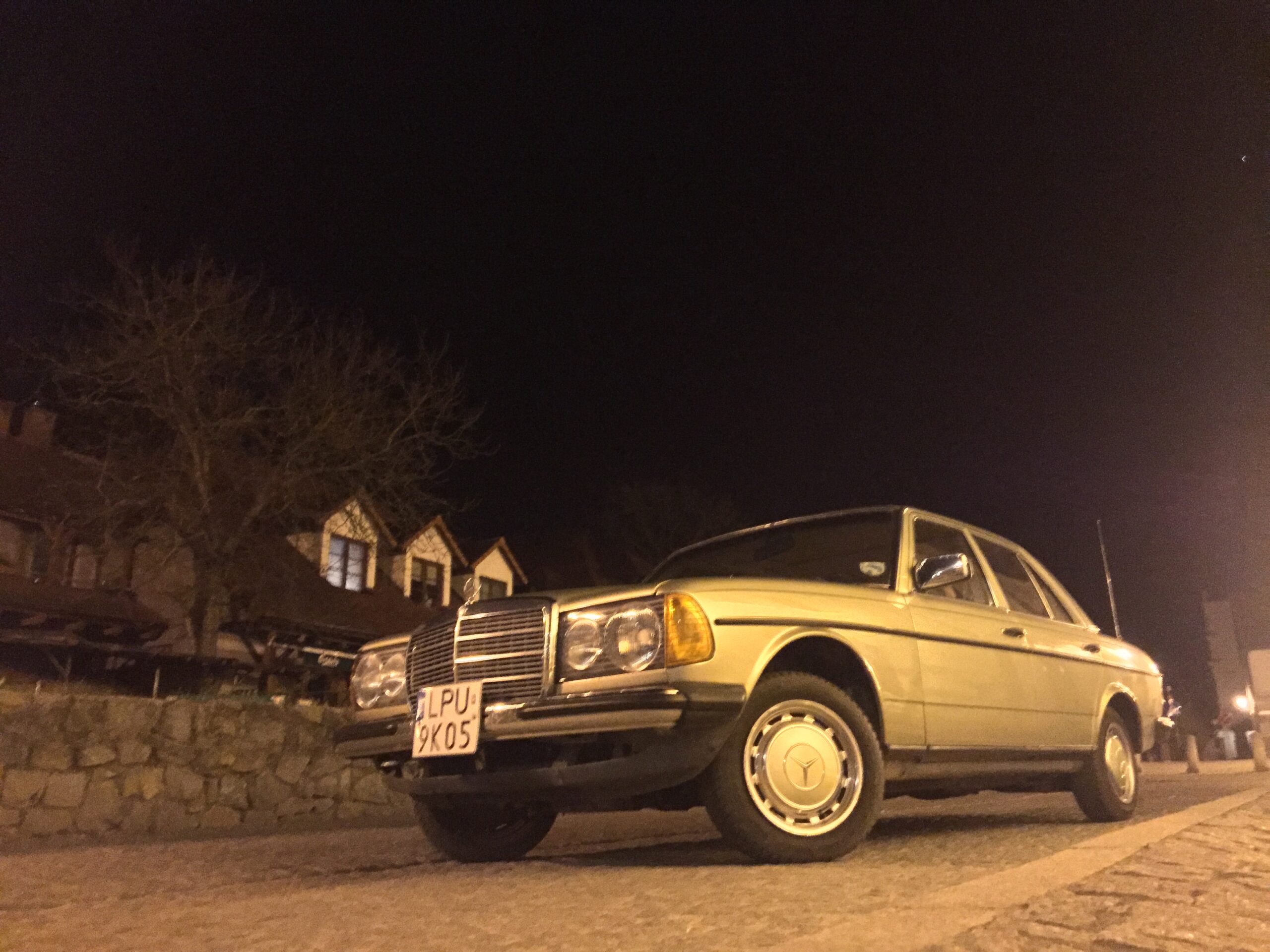 Zobacz więcej zdjęć